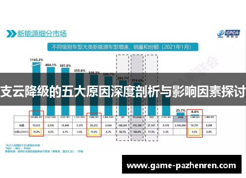 支云降级的五大原因深度剖析与影响因素探讨