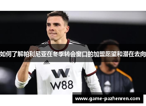 如何了解帕利尼亚在冬季转会窗口的加盟愿望和潜在去向