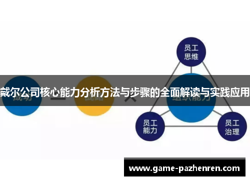 戴尔公司核心能力分析方法与步骤的全面解读与实践应用